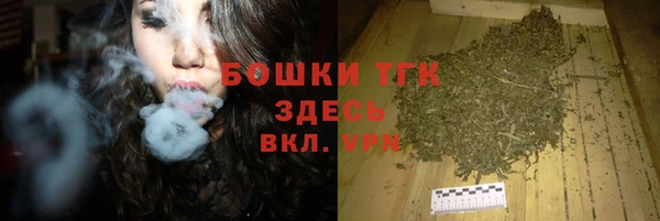 PSILOCYBIN Алексеевка