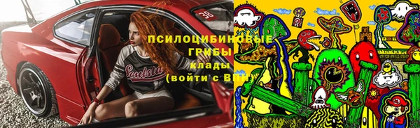 PSILOCYBIN Алексеевка